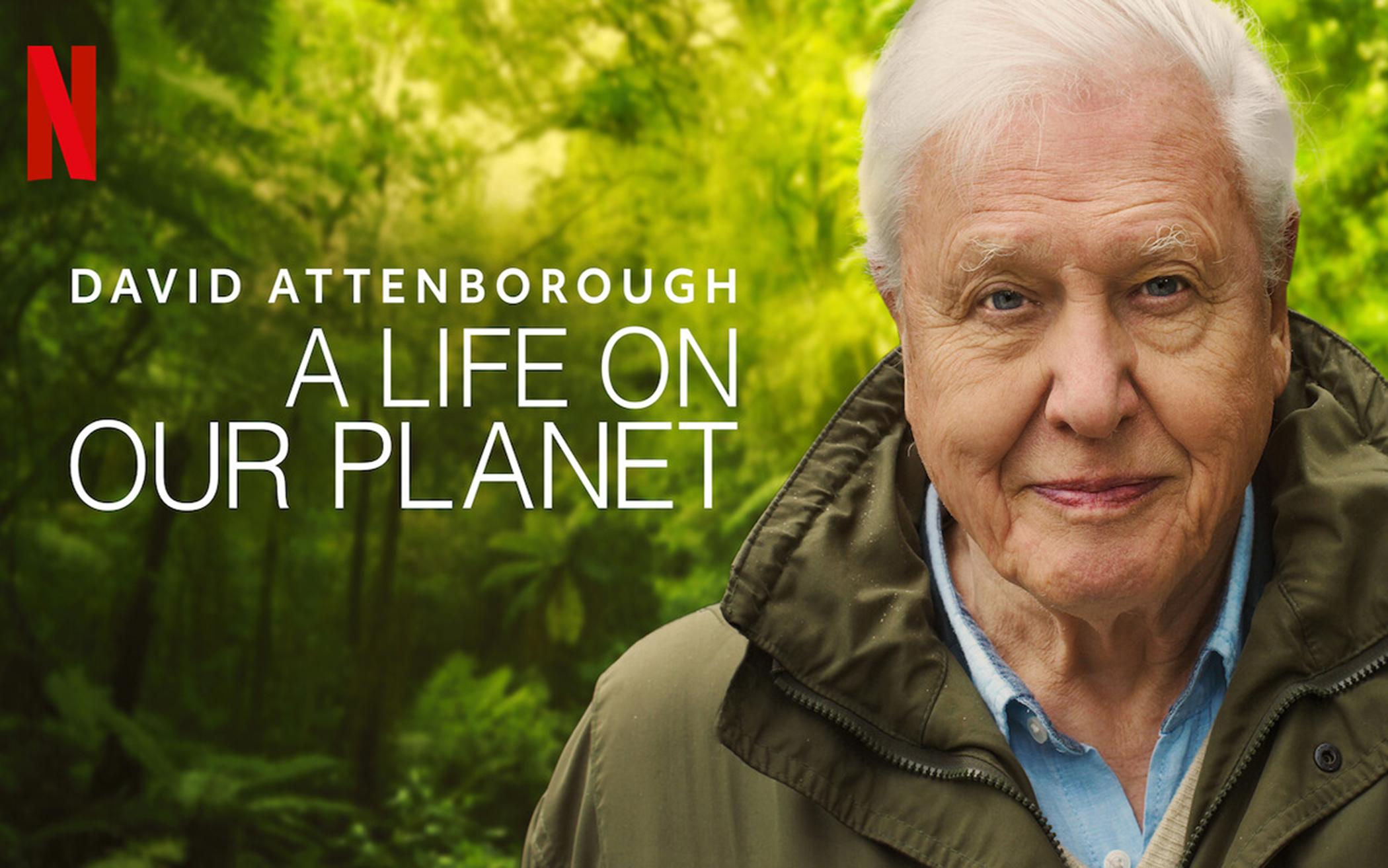 David Attenborough A Life on Our The Banner